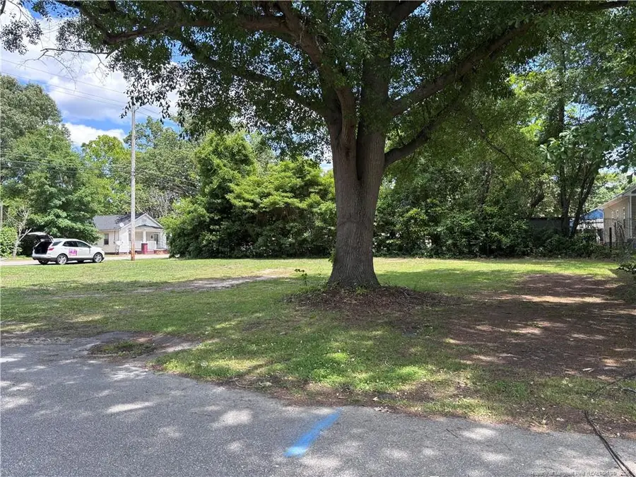 162 Coleman Street, Lumberton, NC 28358 - #3