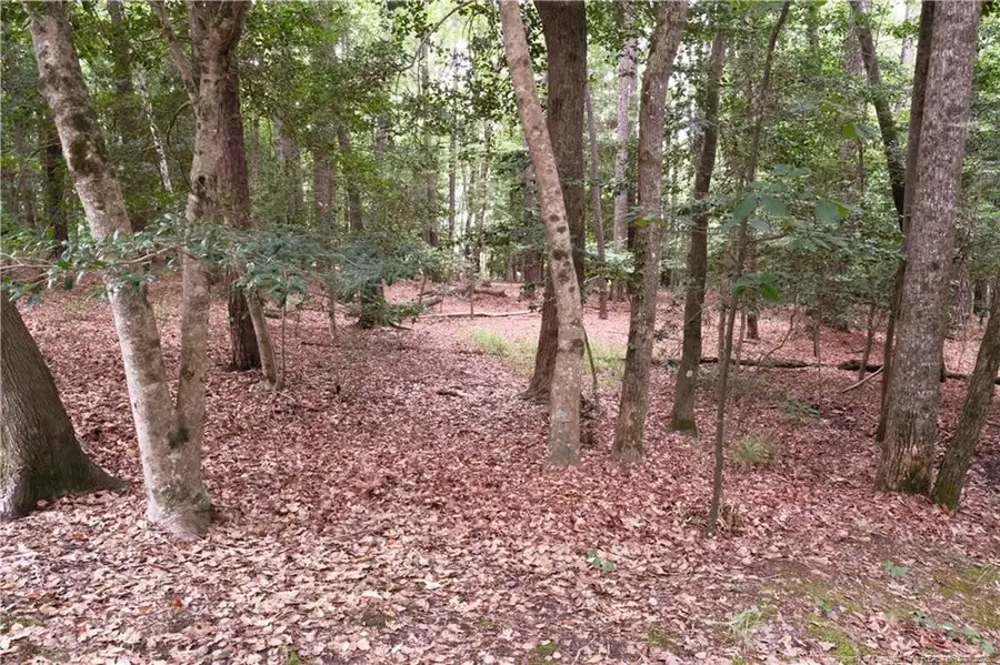 1144 Deerfoot Trail, Sanford, NC 27332 - #2
