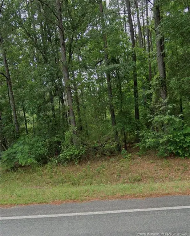 South Plank Road, Sanford, NC 27330 - #1