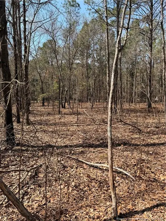 1067 Old Vander Road, Fayetteville, NC 28312 - #2