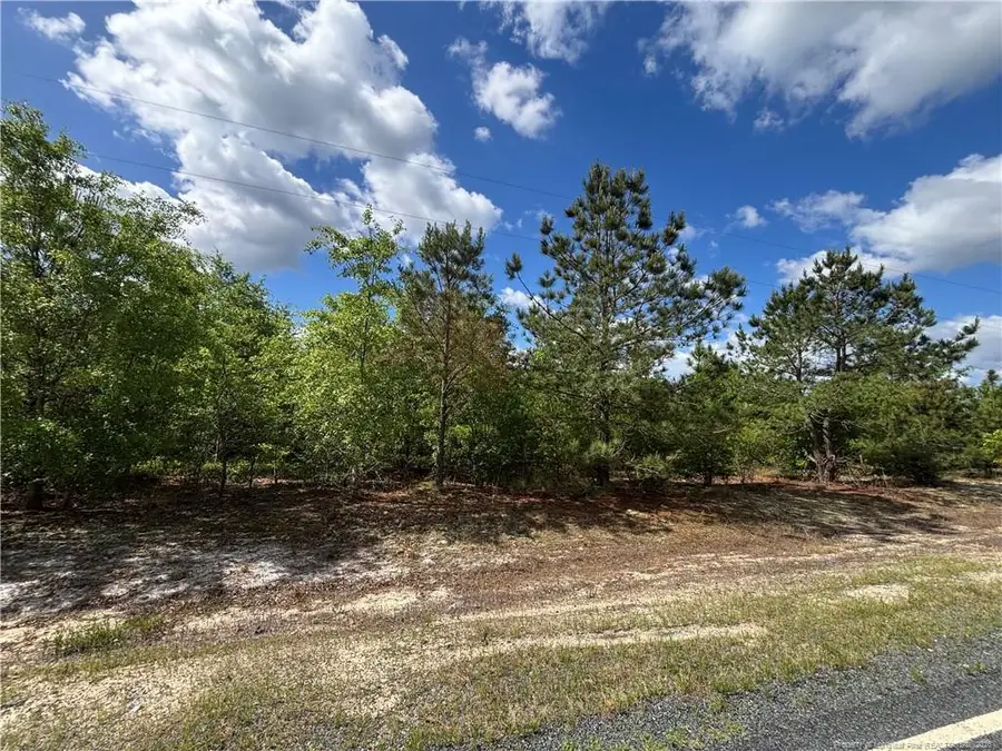 Johnson Road, Fayetteville, NC 28312 - #2