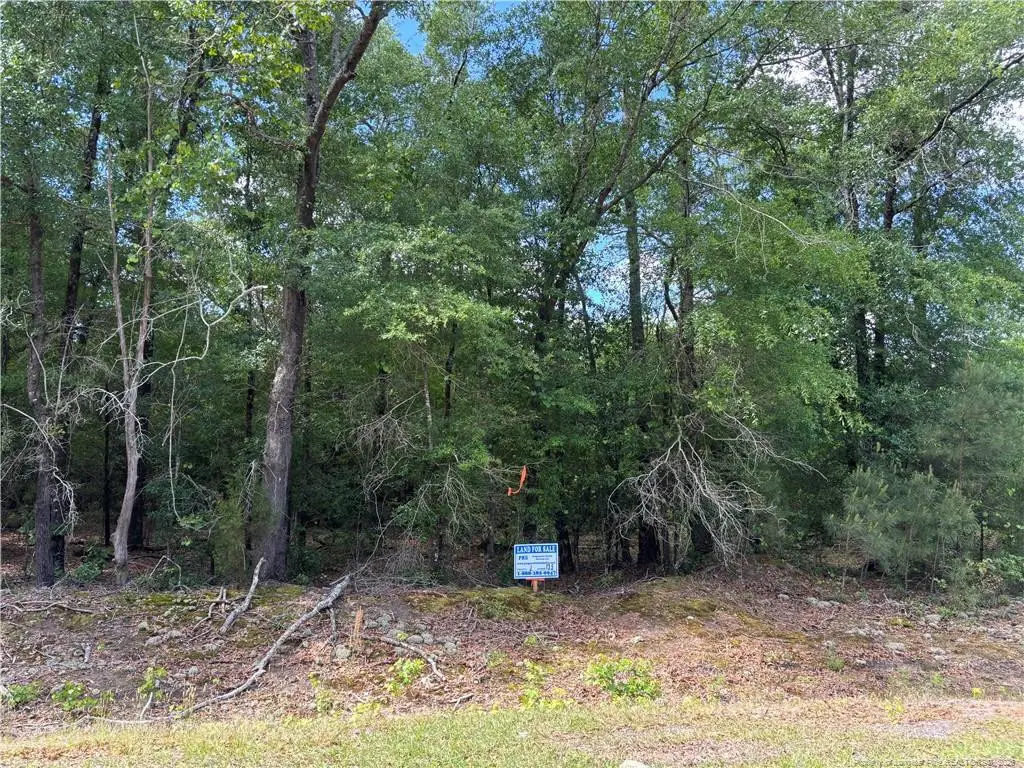 Johnson Road, Fayetteville, NC 28312 - #1