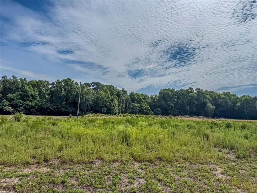 63 Newton Road, Red Springs, NC 28377 - #3