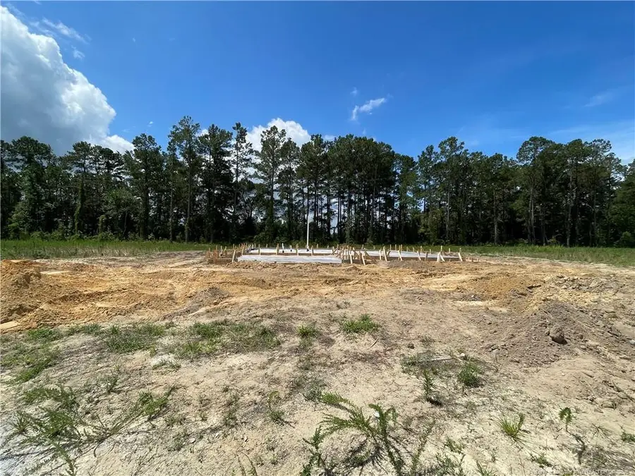 4264 Halkirk Drive, Fayetteville, NC 28312 - #2