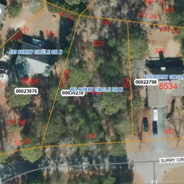 205 Surry Circle Drive, Pinehurst, NC 28374 - #1