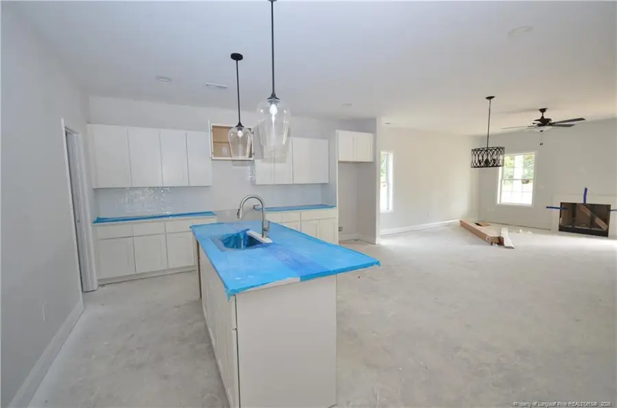 254 D L Phillips (lot 3) Lane, Broadway, NC 27505 - #3