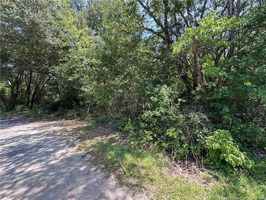 Stevens Street, Raeford, NC 28376 - #2