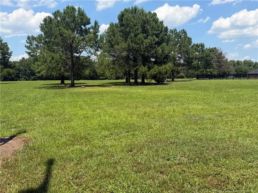 Lt 94 Old Tower Road, Lumberton, NC 28360 - #3
