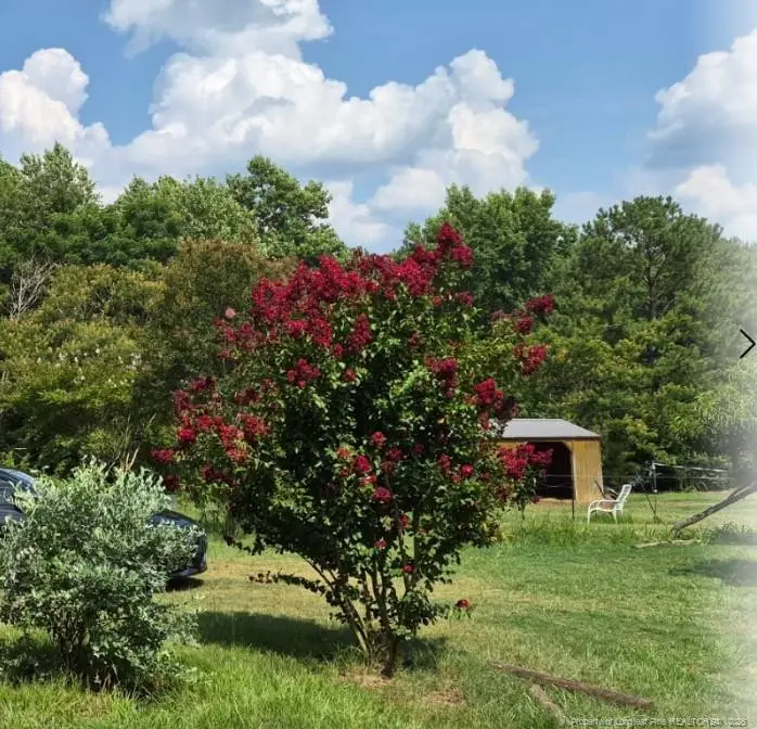 1011 Sweet Raspberry Lane, Lillington, NC 27546 - #3