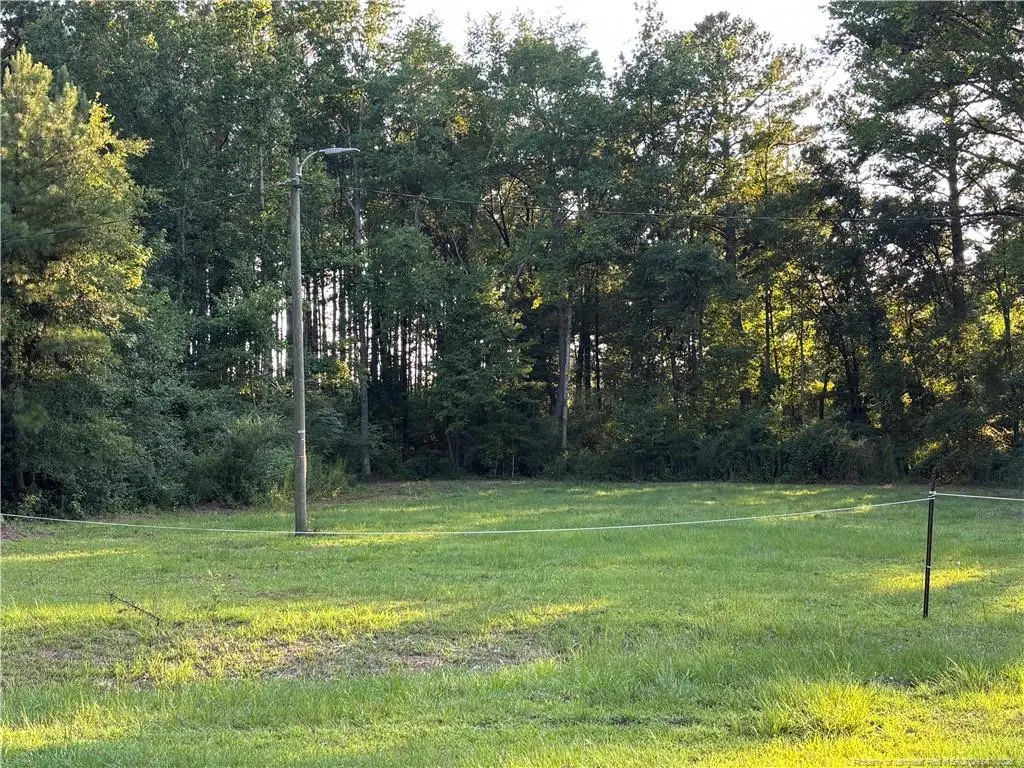 595 Shaw Road, Saint Pauls, NC 28384 - #1