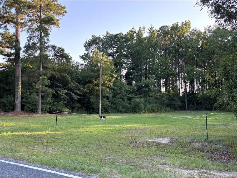 595 Shaw Road, Saint Pauls, NC 28384 - #2