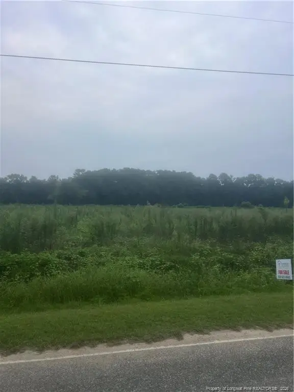 Deese Road, Pembroke, NC 28372 - #2
