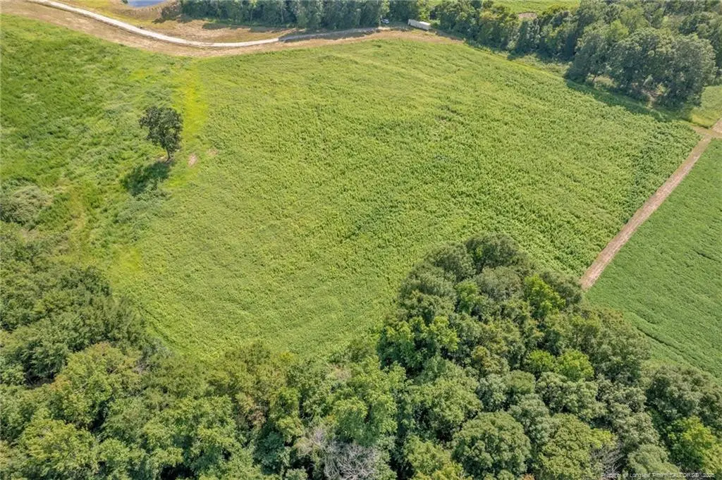 00 Laia Hills (lot 5) Road, Siler City, NC 27344 - #1