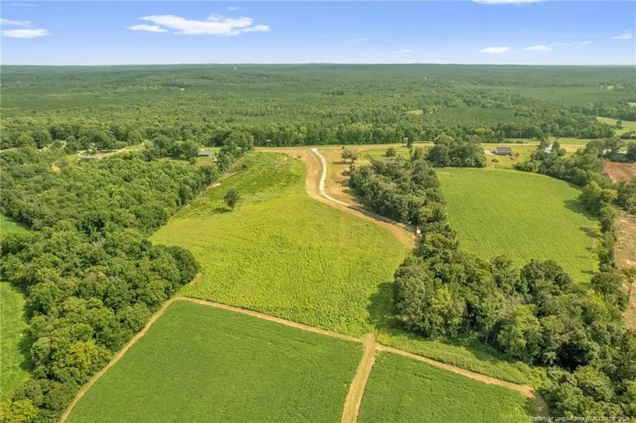 00 Laia Hills (lot 5) Road, Siler City, NC 27344 - #2