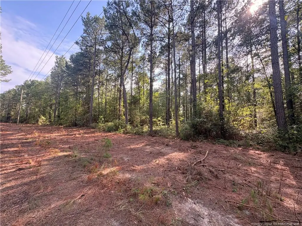 Lot 2 S Plank Road, Sanford, NC 27330 - #1