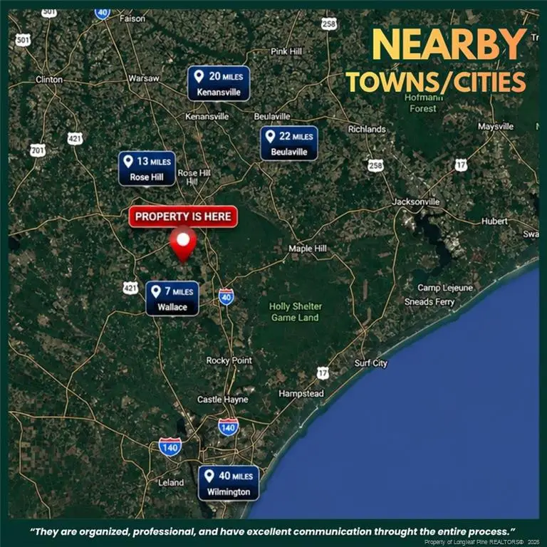 Pelham Road, Willard, NC 28478 - #2