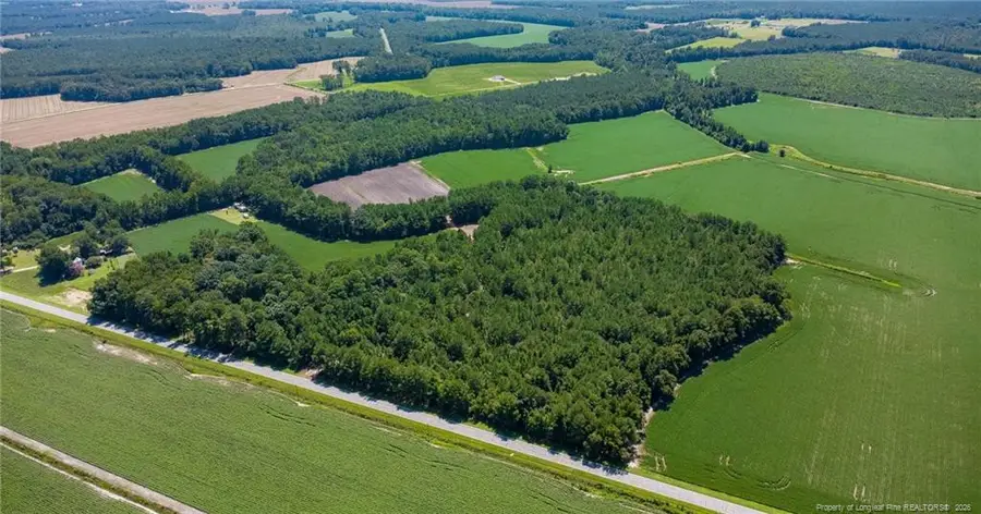 TBD Balfour Road, Lumber Bridge, NC 28357 - #3