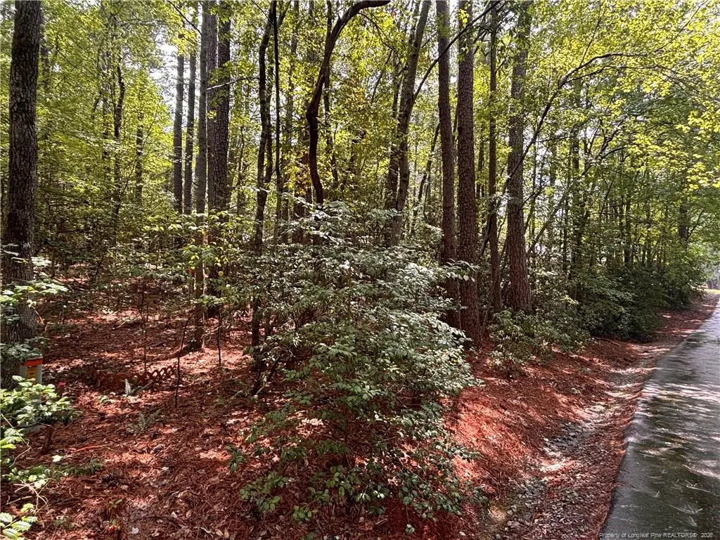 1452 Carolina Drive, Sanford, NC 27332 - #1