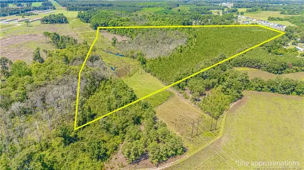 TBD Blue Springs Road, Red Springs, NC 28377