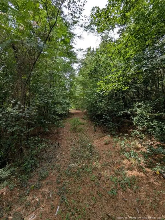 Mcneill Lake Road, Lumber Bridge, NC 28357 - #3