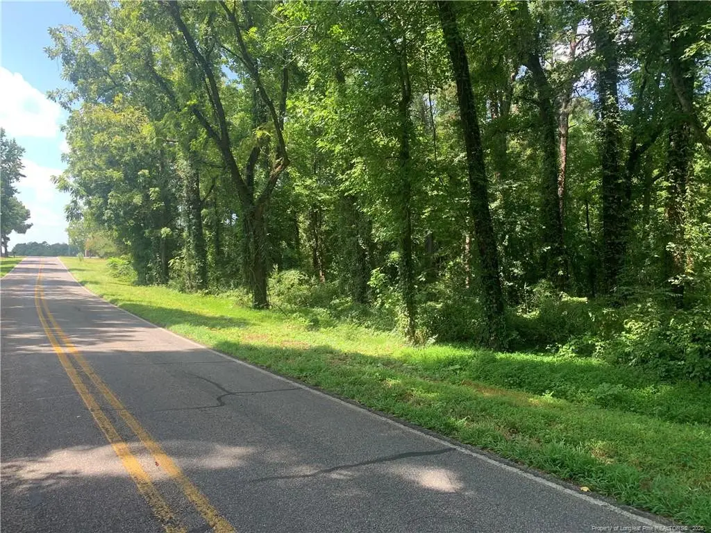 Rocky Fork Church Rd Road, Sanford, NC 27330 - #1