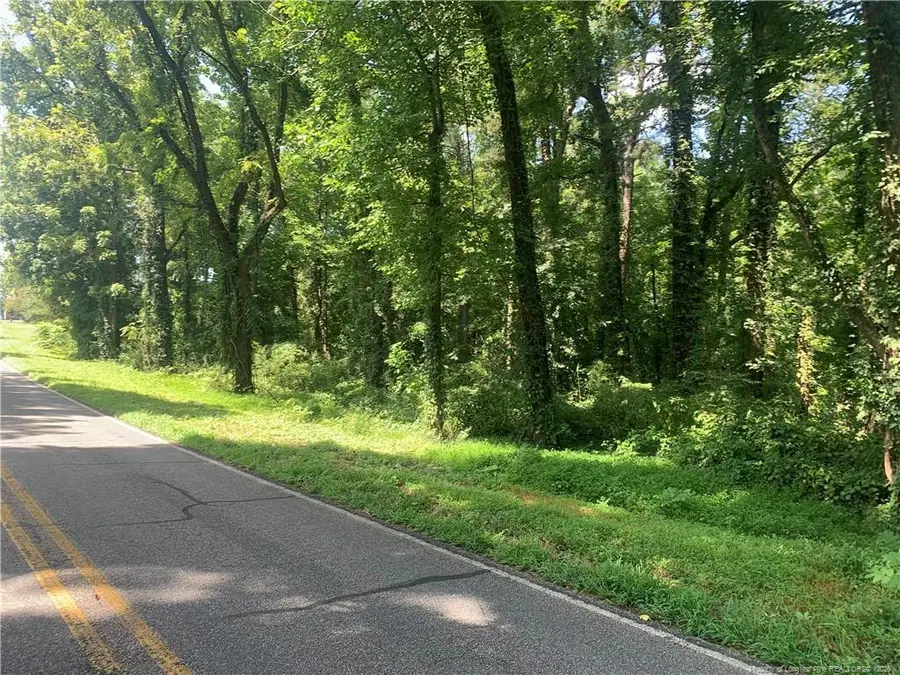 Rocky Fork Church Rd Road, Sanford, NC 27330 - #2
