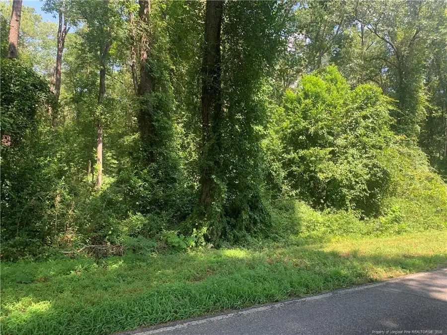 Rocky Fork Church Rd Road, Sanford, NC 27330 - #3