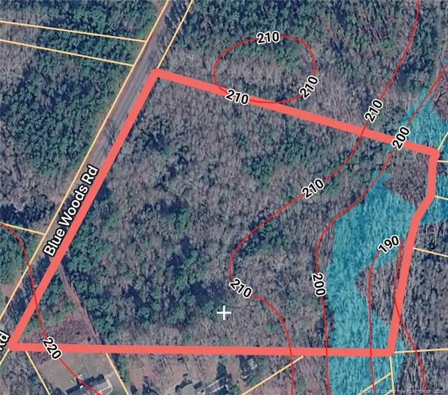 Blue Woods Road, Laurinburg, NC 28352 - #1
