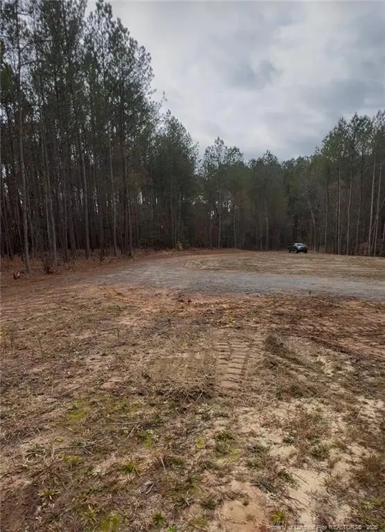 183 Thistlecone Lane, Sanford, NC 27330 - #1
