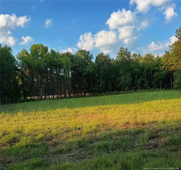 TBD Myrtle Road, Roseboro, NC 28382