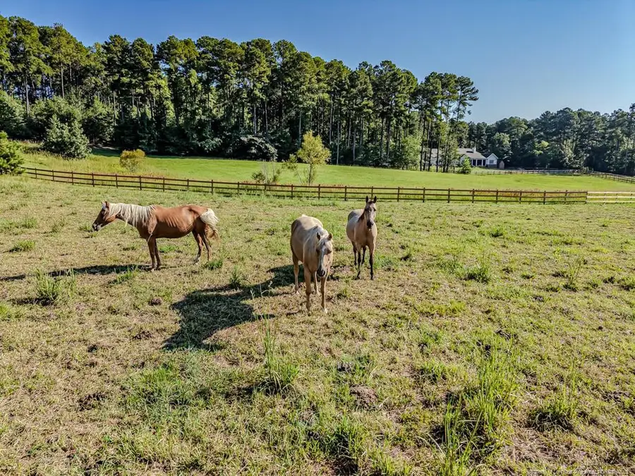 341 Bracken Hill Road, Cameron, NC 28326 - #3