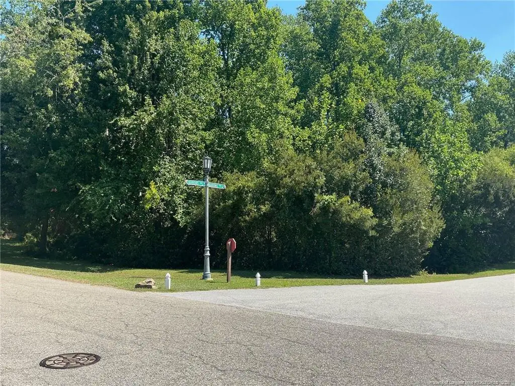 700 Anderson Creek Drive, Anderson Creek, NC 28356 - #1