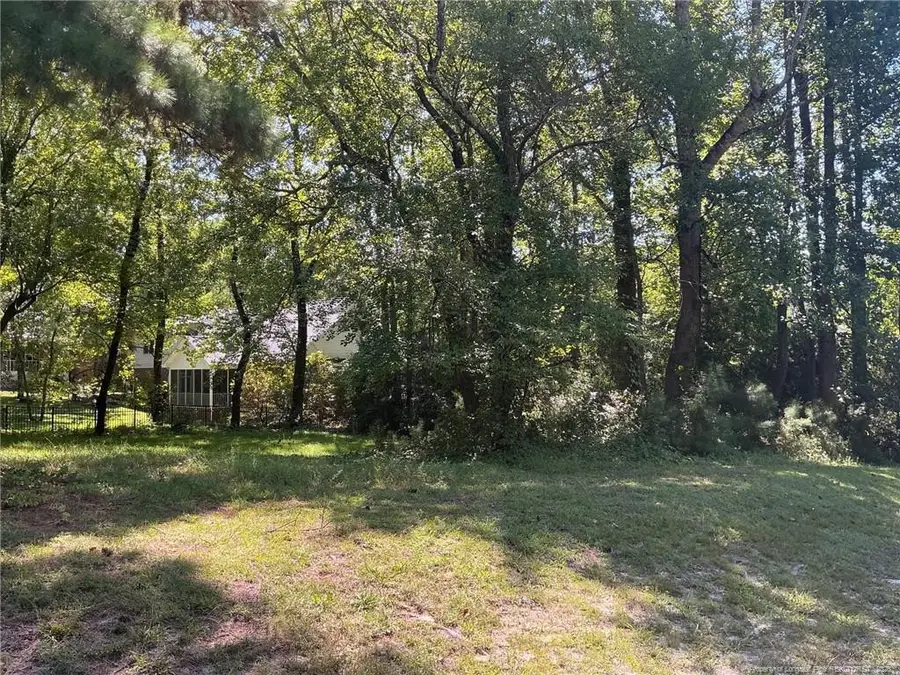 700 Anderson Creek Drive, Anderson Creek, NC 28356 - #3