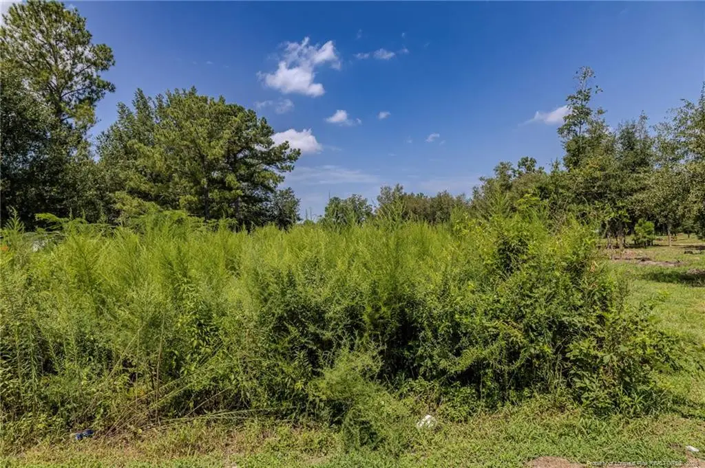 546 Pearsall Road, Red Springs, NC 28377 - #1