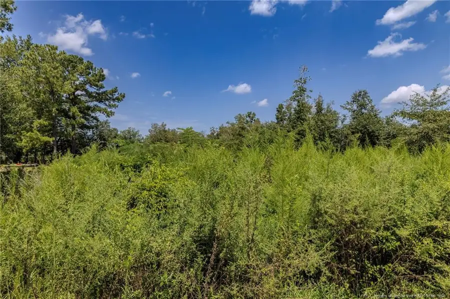 546 Pearsall Road, Red Springs, NC 28377 - #3