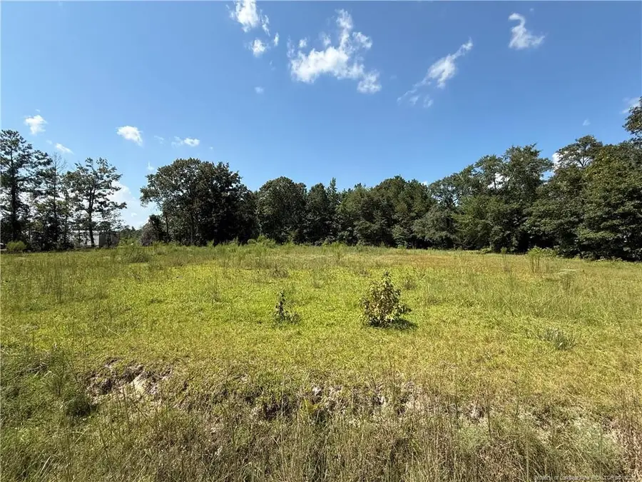 516 Homer Drive, Elizabethtown, NC 28337 - #3