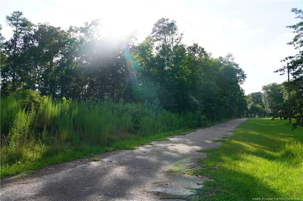 LOT 6 Lakeview Drive, Red Springs, NC 28377 - #1
