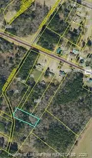 Mckoy/staten Road, Clarkton, NC 28433 - #3