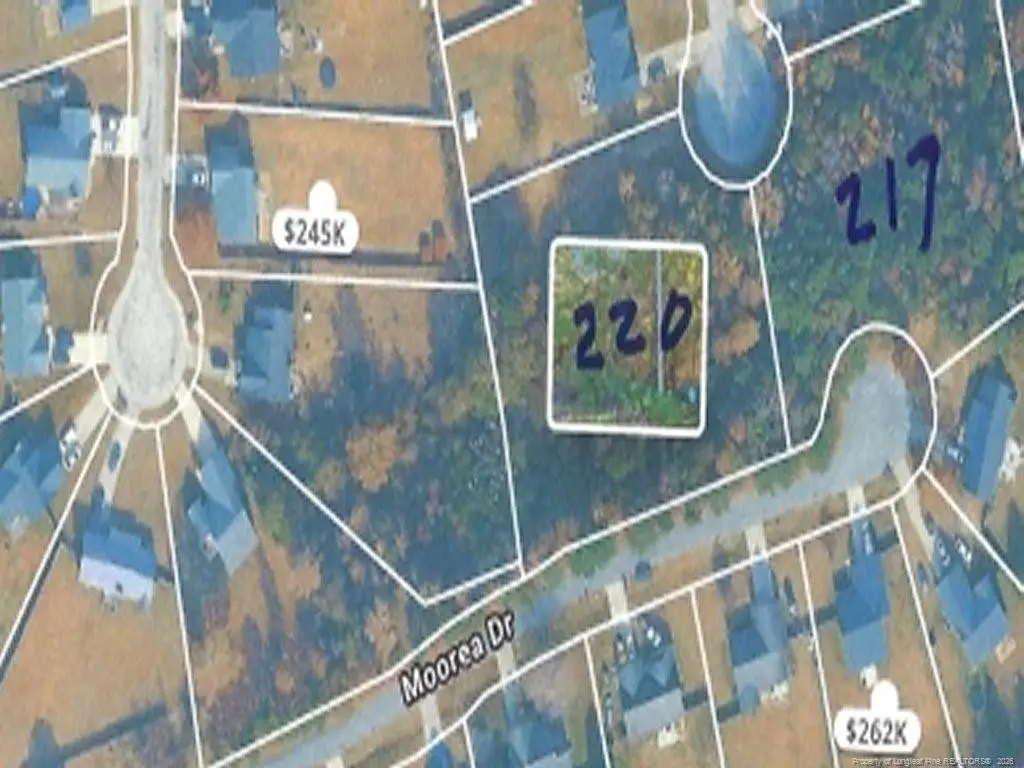 217 & 220 Kendall Court, Raeford, NC 28376 - #1