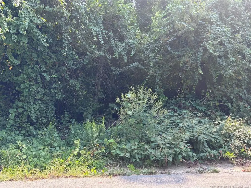 421 Preston Avenue, Fayetteville, NC 28301 - #1