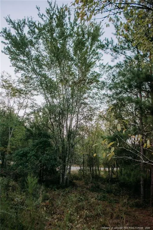 Lot 3-TBD Nighthawk Loop, Aberdeen, NC 28315 - #1