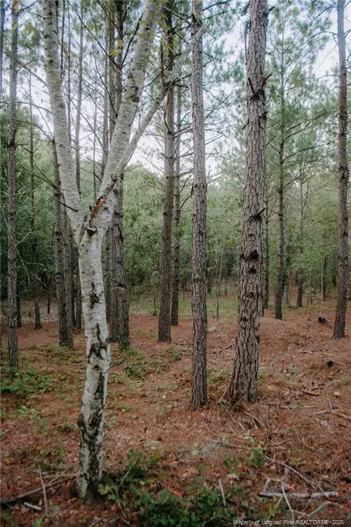 Lot 3-TBD Nighthawk Loop, Aberdeen, NC 28315 - #2