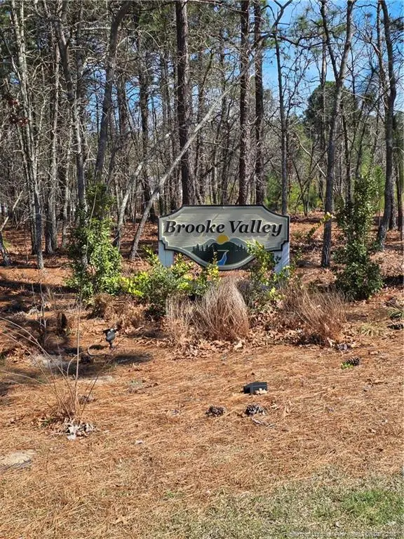 370 Bulldawg Lane, Raeford, NC 28376 - #3