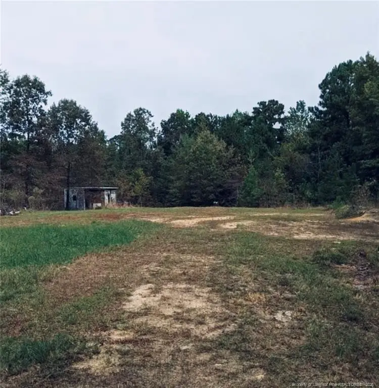 East Governor Brandon Street, Spring Lake, NC 28390 - #2