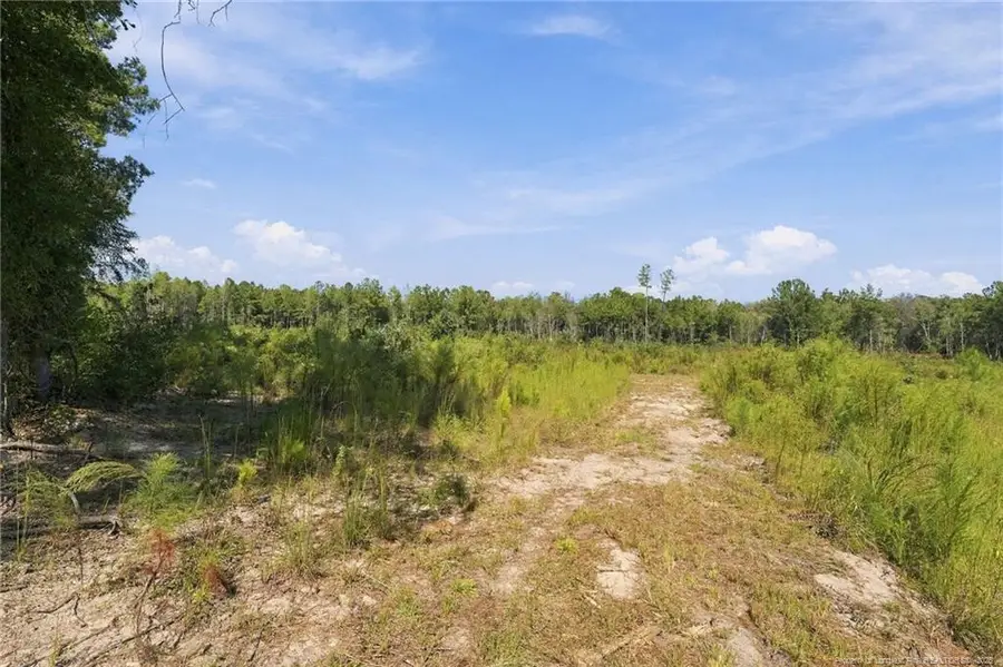 Hill Street, Raeford, NC 28376 - #2