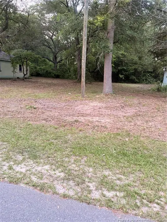 23661 Bundy Street, Wagram, NC 28369 - #2