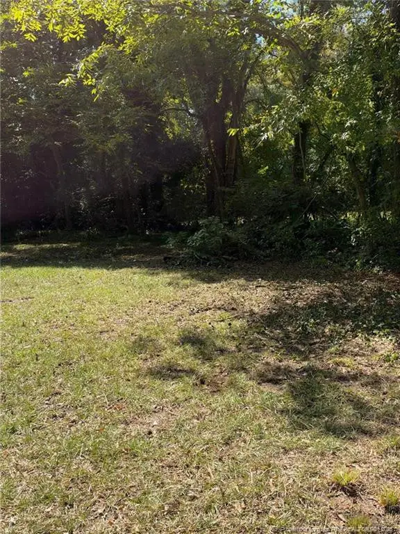 417 Moore Street, Fayetteville, NC 28301 - #3