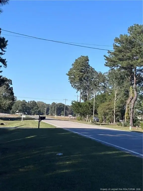 Lynx Lane, Palmyra, NC 27874 - #2