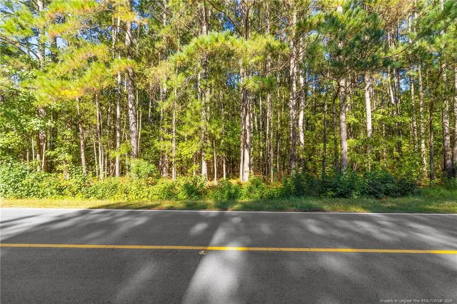 Tbd Emma Jane Road, Saint Pauls, NC 28384 - #2