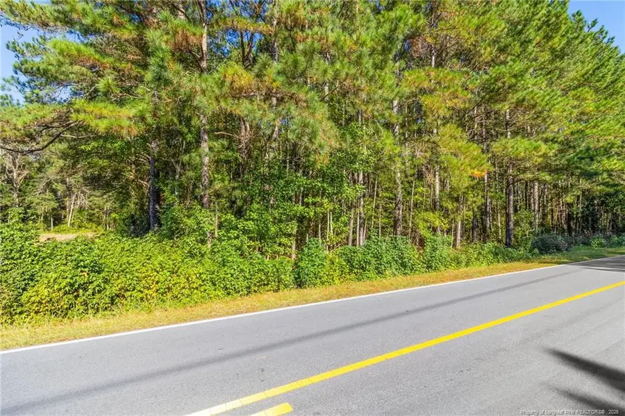 Tbd Emma Jane Road, Saint Pauls, NC 28384 - #3